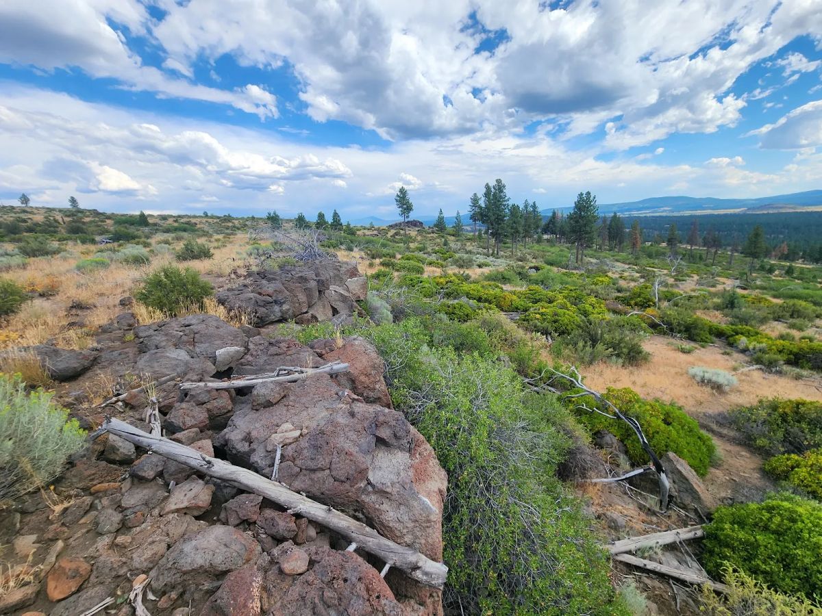 Decorative background for Your Future Homesite in Klamath Forest Estates image 31