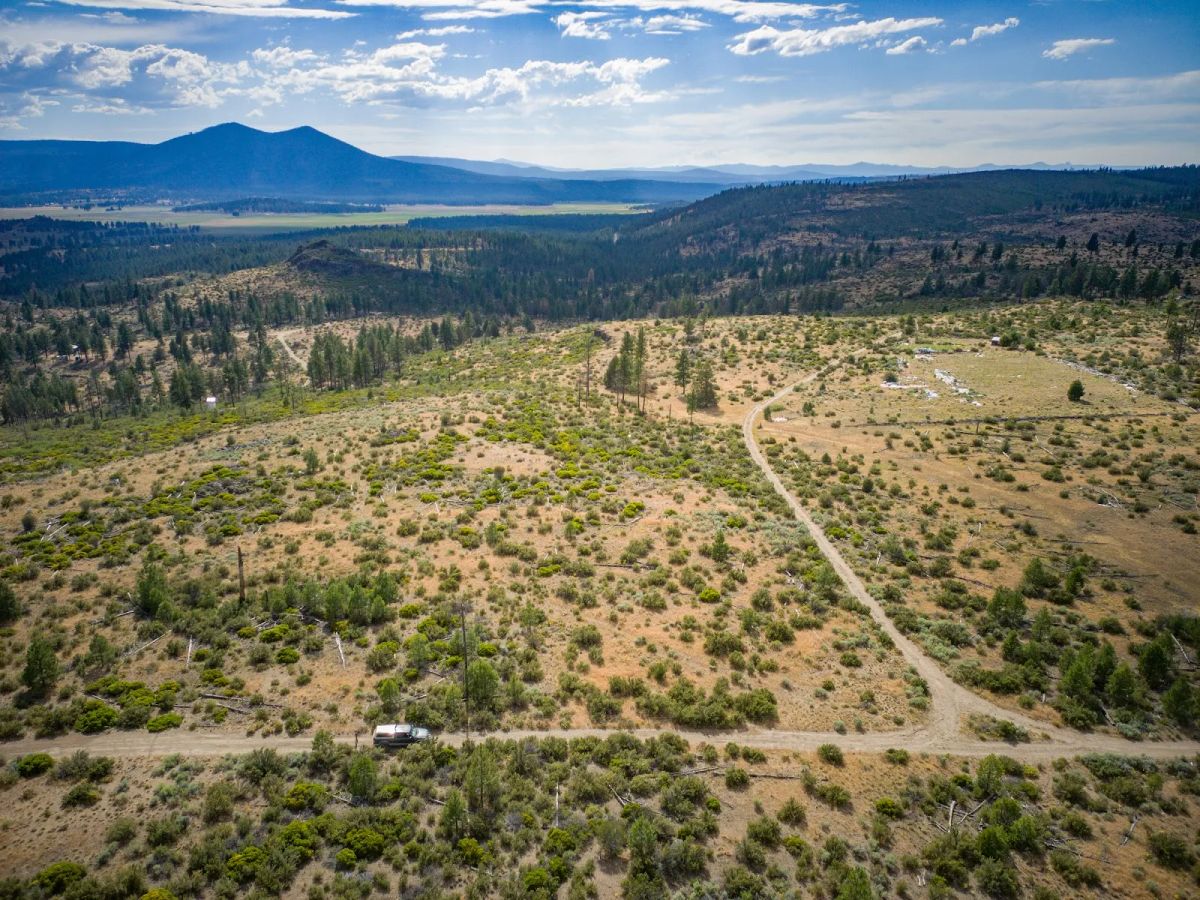 Decorative background for Your Future Homesite in Klamath Forest Estates image 33