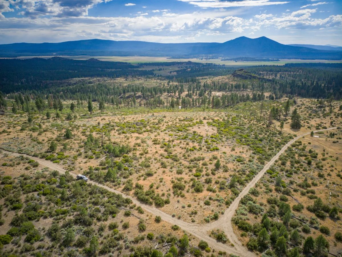 Decorative background for Your Future Homesite in Klamath Forest Estates image 34