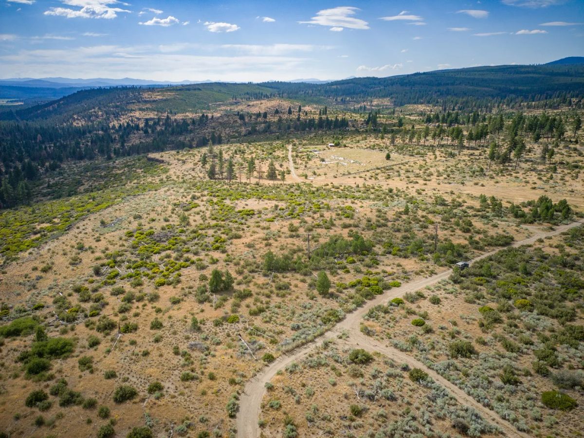 Decorative background for Your Future Homesite in Klamath Forest Estates image 35
