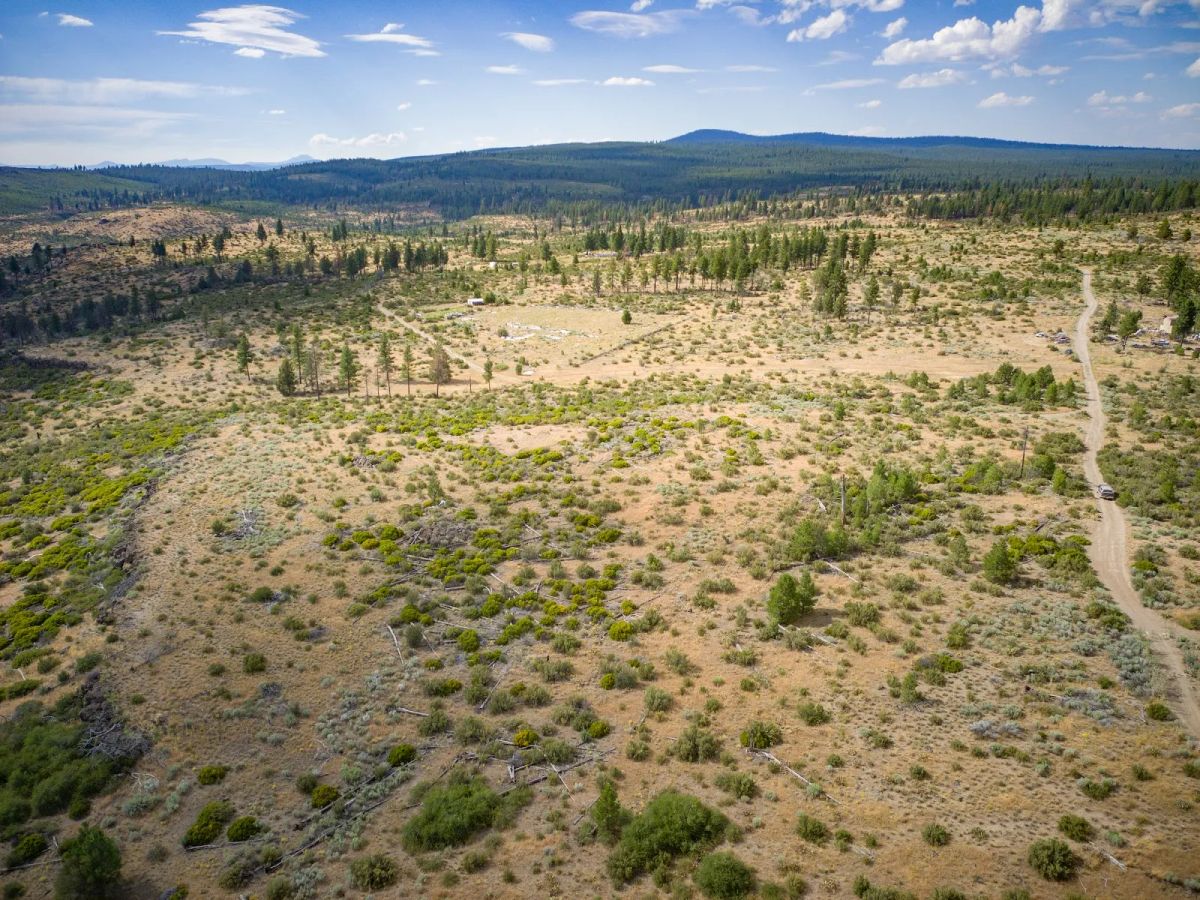 Decorative background for Your Future Homesite in Klamath Forest Estates image 36