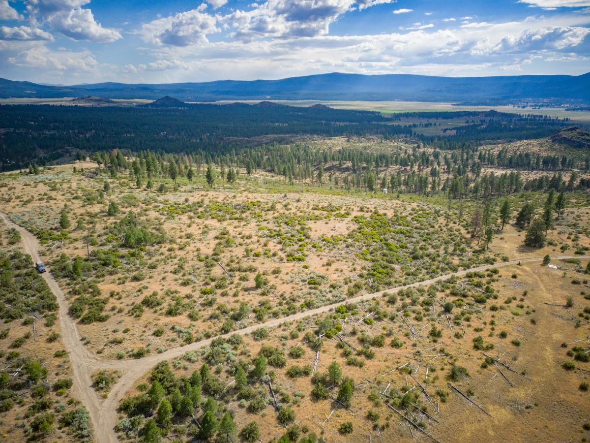 Decorative background for Your Future Homesite in Klamath Forest Estates image 37