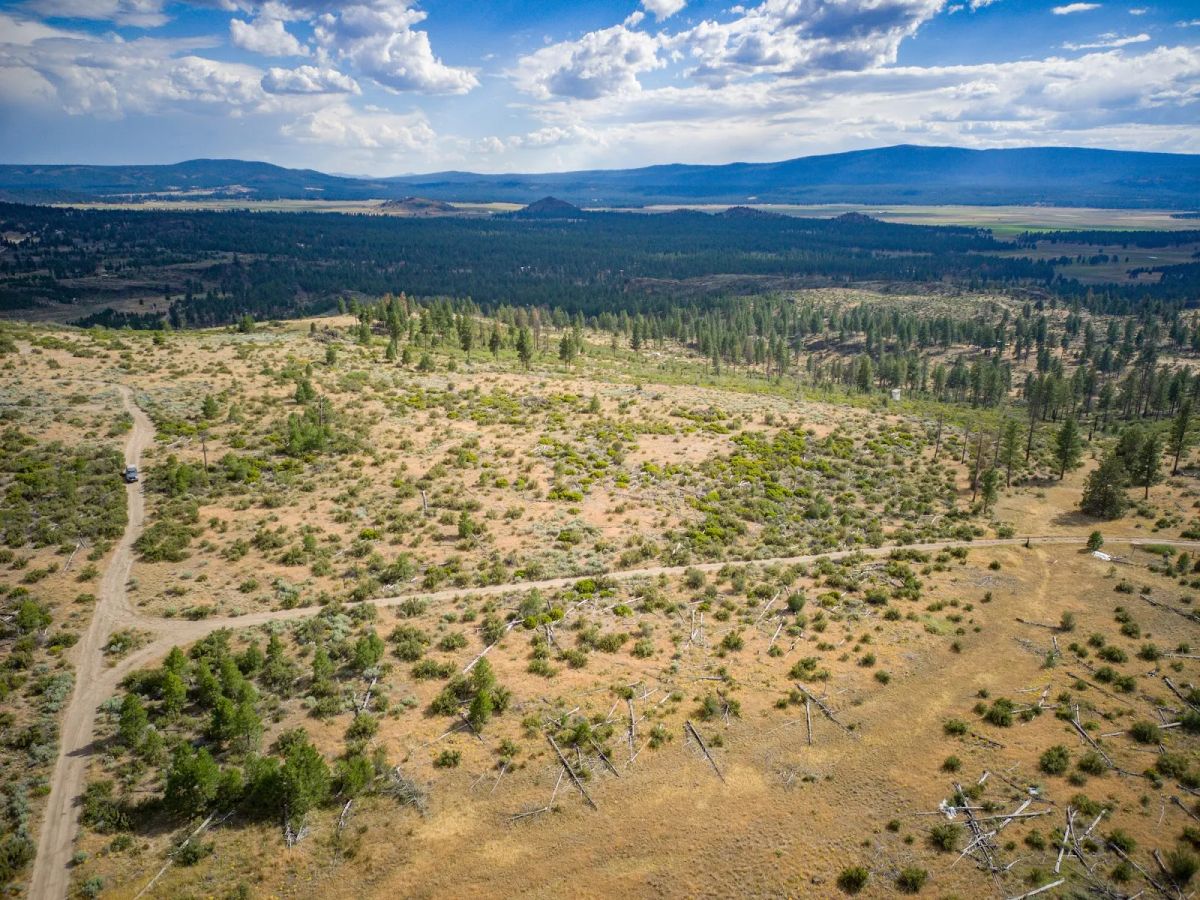 Decorative background for Your Future Homesite in Klamath Forest Estates image 38