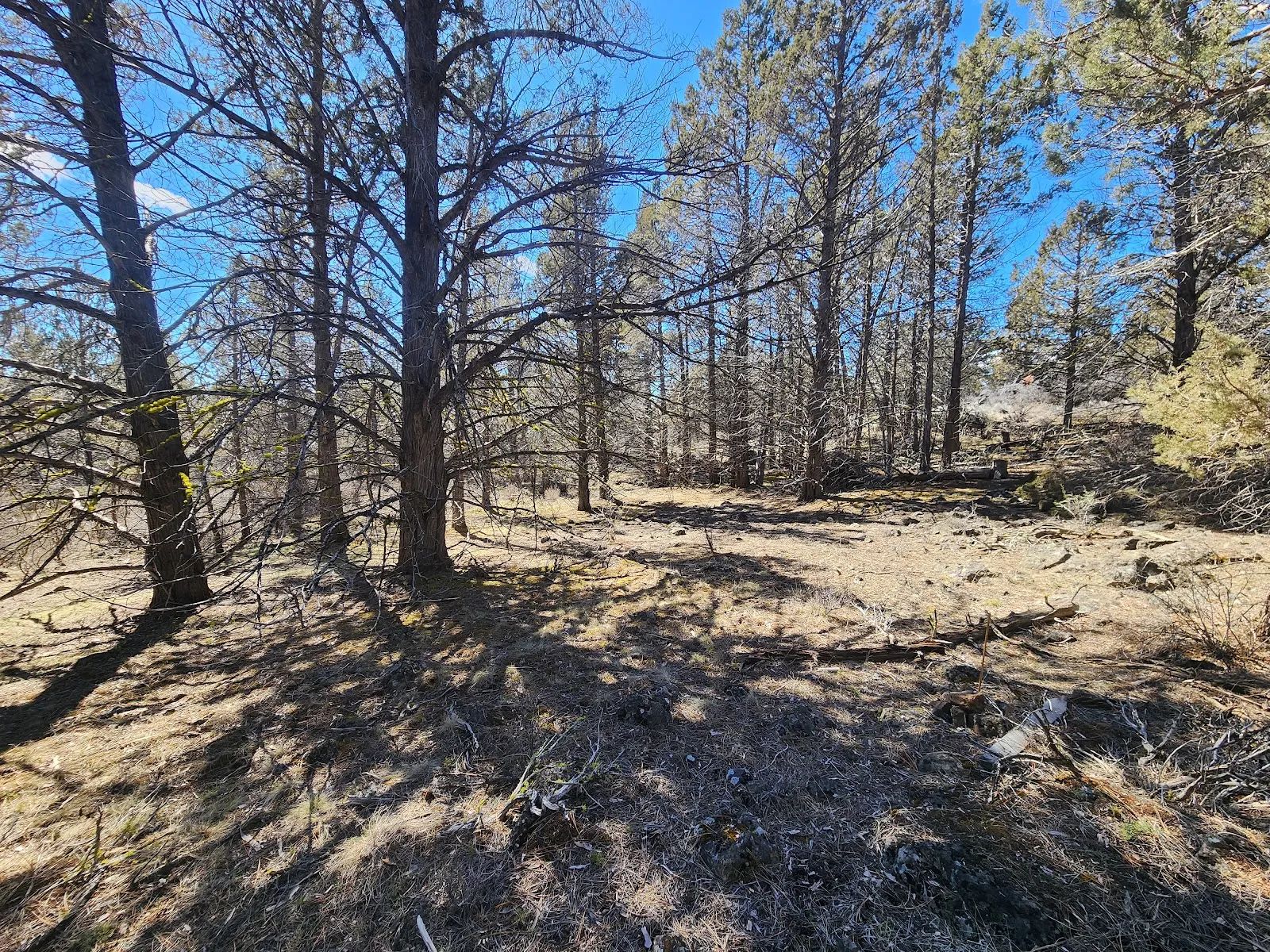 Stop Paying Campground Fees. Own 1.55 Acres in Southern Oregon for $220 a Month in Klamath County, OR
