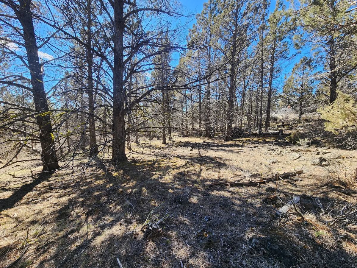 Stop Paying Campground Fees. Own 1.55 Acres in Southern Oregon for $220 a Month - Main image