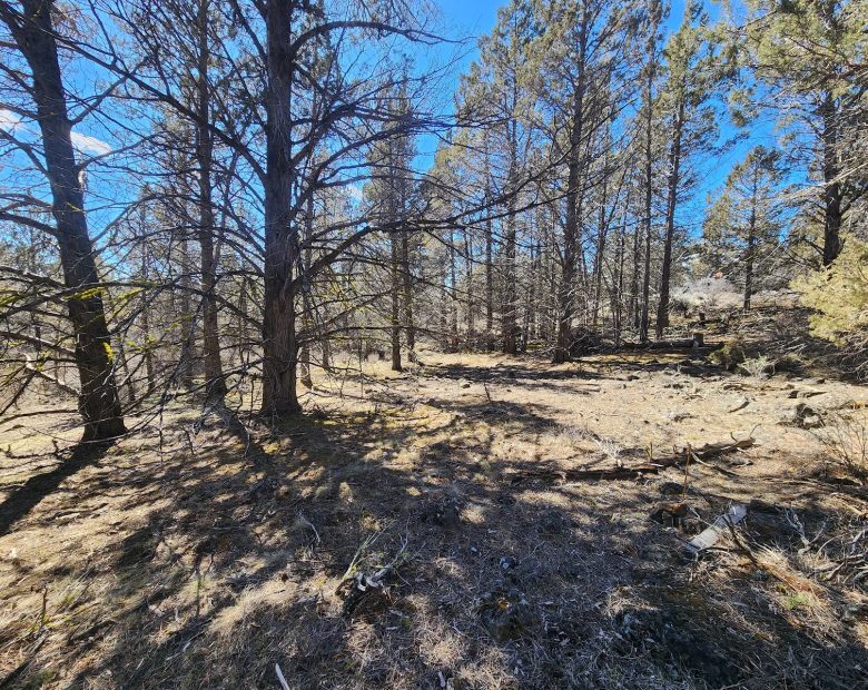 Stop Paying Campground Fees. Own 1.55 Acres in Southern Oregon for $220 a Month in Klamath County, OR