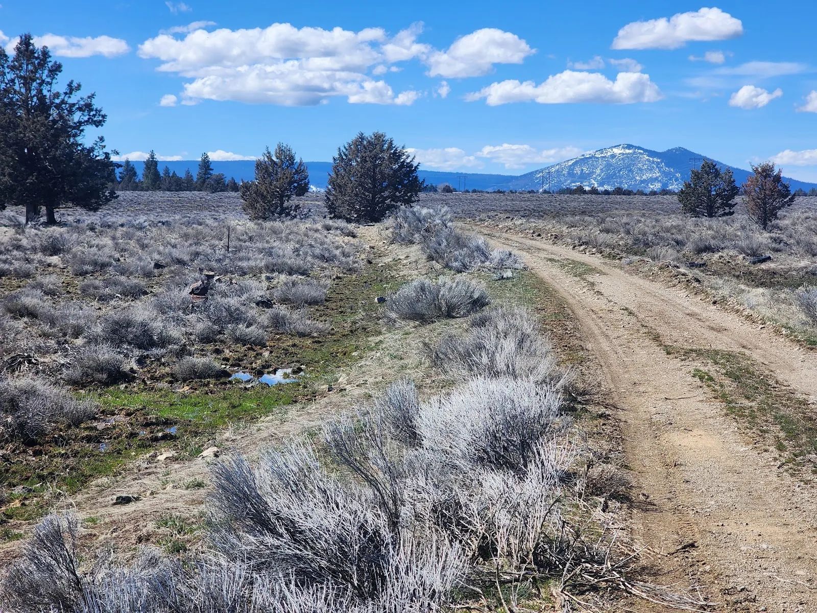 Stop Paying Campground Fees. Own 1.55 Acres in Southern Oregon for $220 a Month in Klamath County, OR