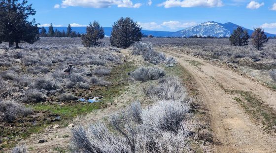 Stop Paying Campground Fees. Own 1.55 Acres in Southern Oregon for $220 a Month in Klamath County, OR