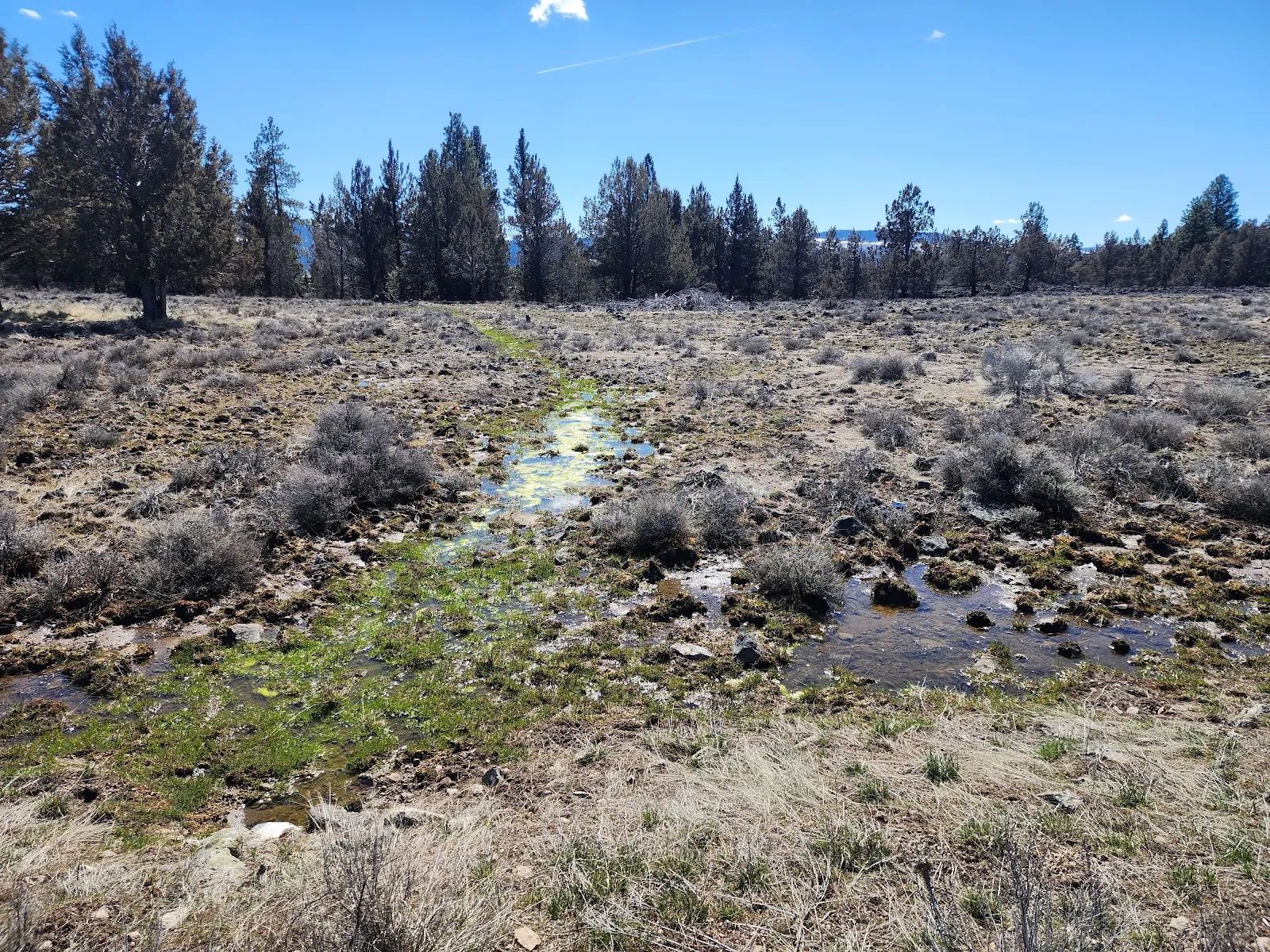 Stop Paying Campground Fees. Own 1.55 Acres in Southern Oregon for $220 a Month in Klamath County, OR