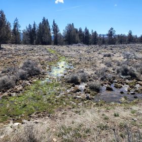 Stop Paying Campground Fees. Own 1.55 Acres in Southern Oregon for $220 a Month in Klamath County, OR