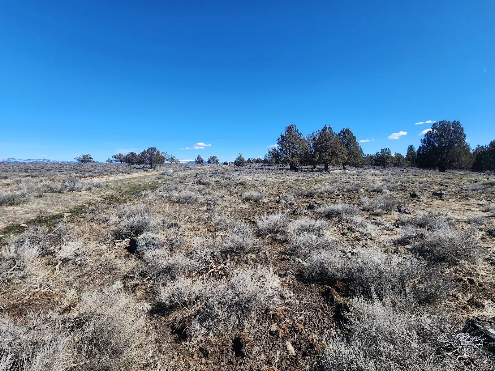 Stop Paying Campground Fees. Own 1.55 Acres in Southern Oregon for $220 a Month in Klamath County, OR