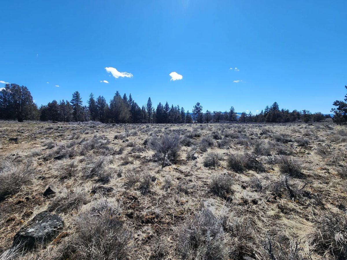 Decorative background for Stop Paying Campground Fees. Own 1.55 Acres in Southern Oregon for $220 a Month image 5