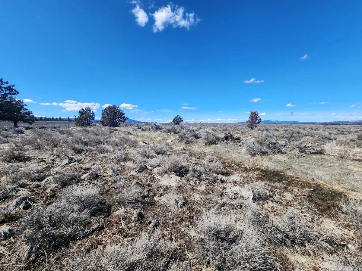 Decorative background for Stop Paying Campground Fees. Own 1.55 Acres in Southern Oregon for $220 a Month image 6