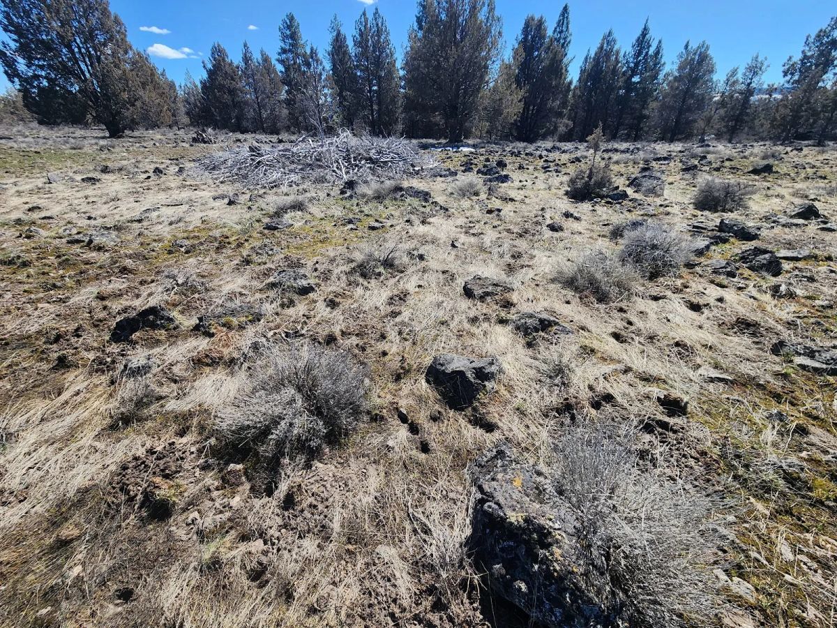 Decorative background for Stop Paying Campground Fees. Own 1.55 Acres in Southern Oregon for $220 a Month image 7
