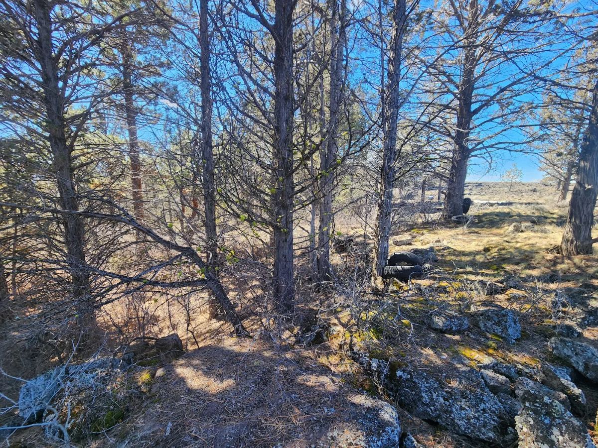 Decorative background for Stop Paying Campground Fees. Own 1.55 Acres in Southern Oregon for $220 a Month image 8