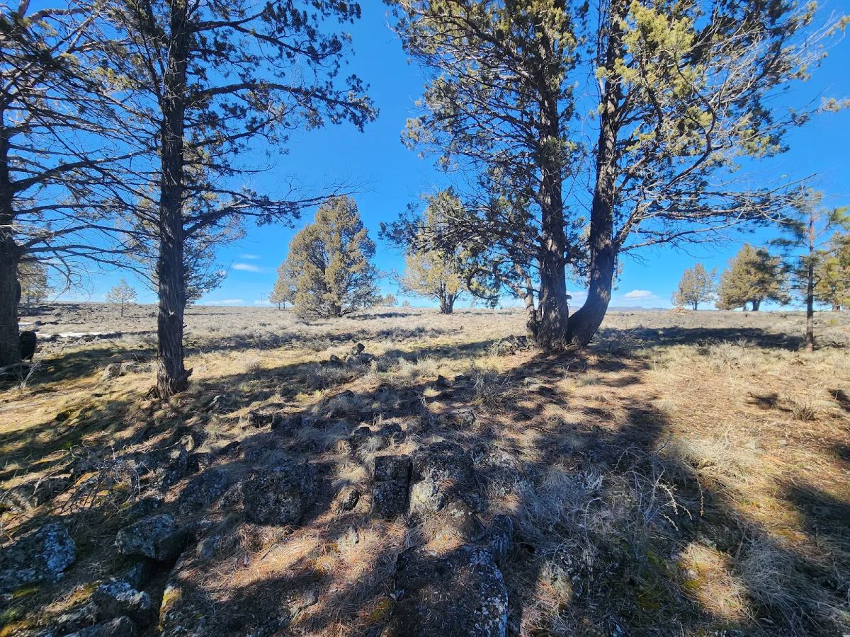 Decorative background for Stop Paying Campground Fees. Own 1.55 Acres in Southern Oregon for $220 a Month image 9