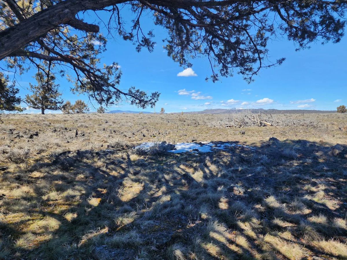 Decorative background for Stop Paying Campground Fees. Own 1.55 Acres in Southern Oregon for $220 a Month image 11