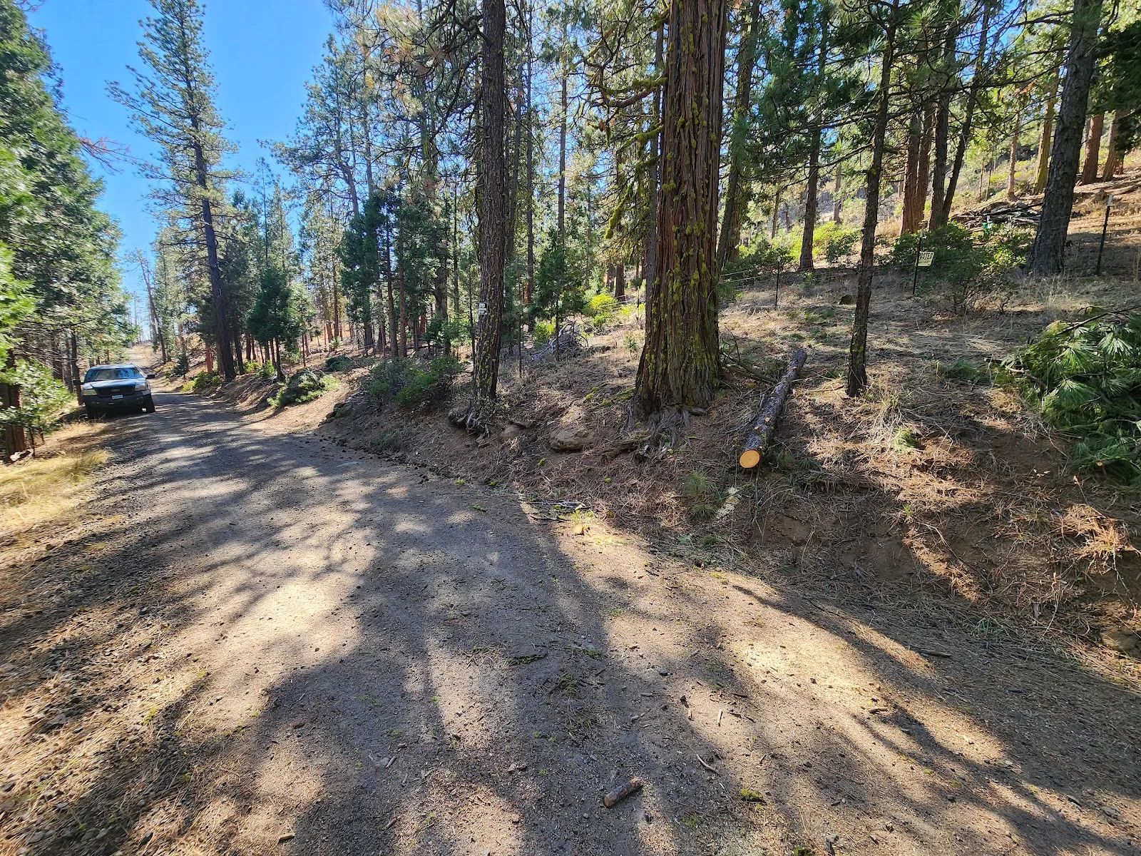 Own 2.35 Wooded Acres Near Bonanza for Just $299 Month
