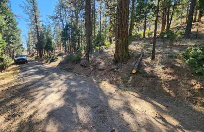 Own 2.35 Wooded Acres Near Bonanza for Just $299 Month