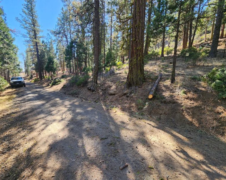 Own 2.35 Wooded Acres Near Bonanza for Just $299 Month in Klamath County, OR