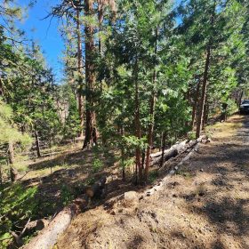 Own 2.35 Wooded Acres Near Bonanza for Just $299 Month in Klamath County, OR