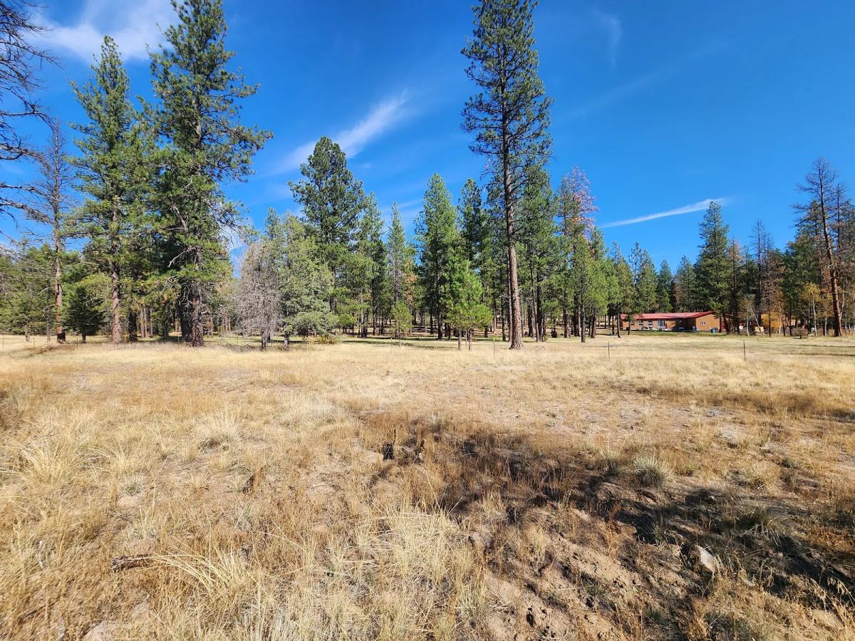 Decorative background for Own 2.35 Wooded Acres Near Bonanza for Just $299 Month image 10