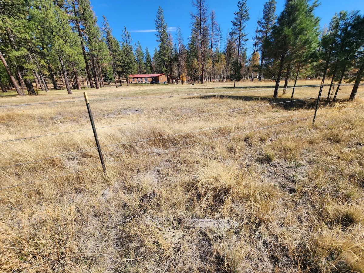 Decorative background for Own 2.35 Wooded Acres Near Bonanza for Just $299 Month image 11