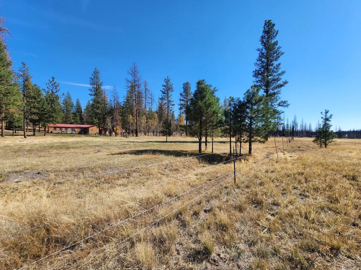 Decorative background for Own 2.35 Wooded Acres Near Bonanza for Just $299 Month image 12