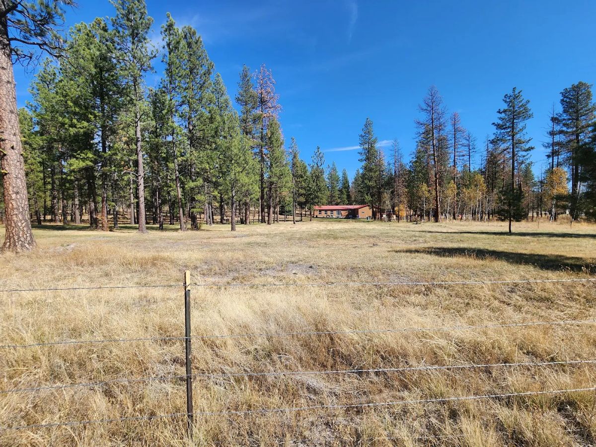 Decorative background for Own 2.35 Wooded Acres Near Bonanza for Just $299 Month image 13