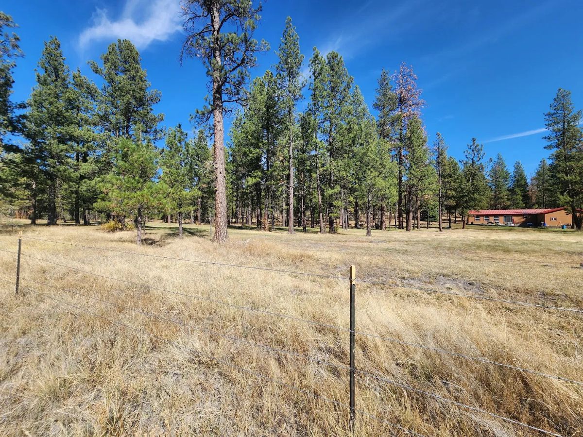 Decorative background for Own 2.35 Wooded Acres Near Bonanza for Just $299 Month image 14