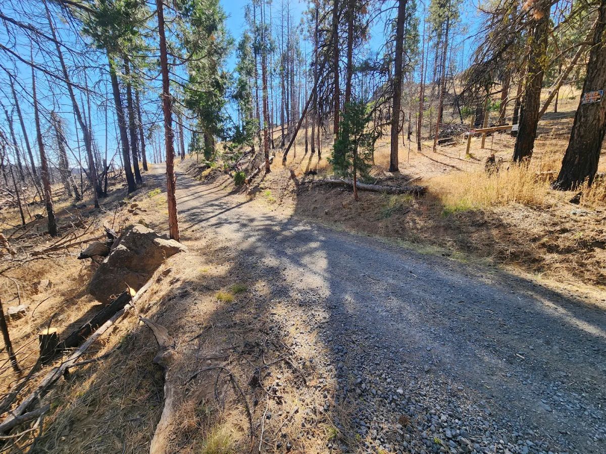 Decorative background for Own 2.35 Wooded Acres Near Bonanza for Just $299 Month image 23