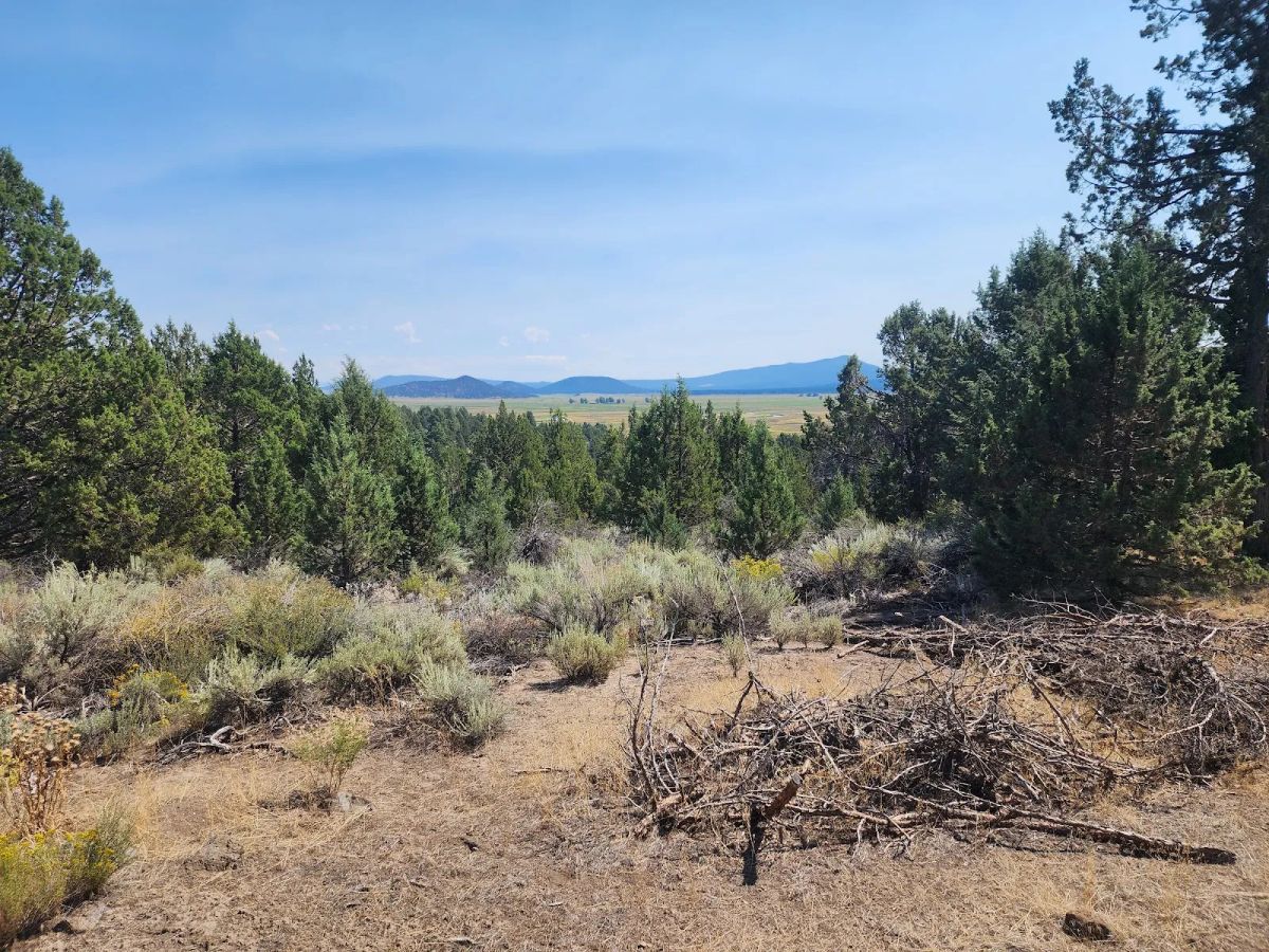 Treed Lot with Valley Views and Power Already Close — Kootenai Street - Main image