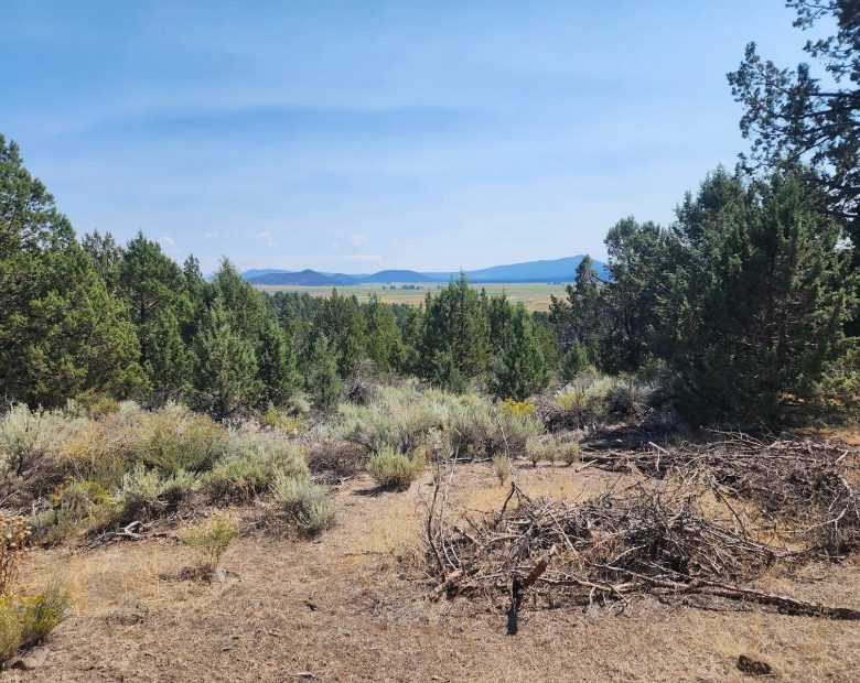 Treed Lot with Valley Views and Power Already Close — Kootenai Street in Klamath County, OR