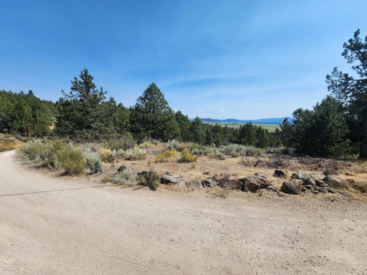 Treed Lot with Valley Views and Power Already Close — Kootenai Street - Image 3