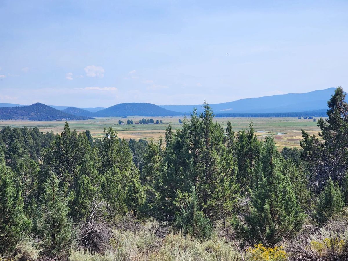 Decorative background for Treed Lot with Valley Views and Power Already Close — Kootenai Street image 5
