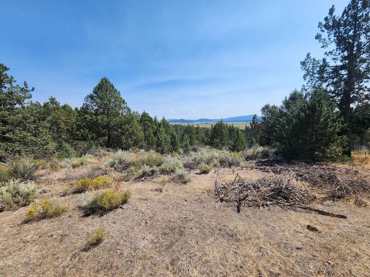 Decorative background for Treed Lot with Valley Views and Power Already Close — Kootenai Street image 6