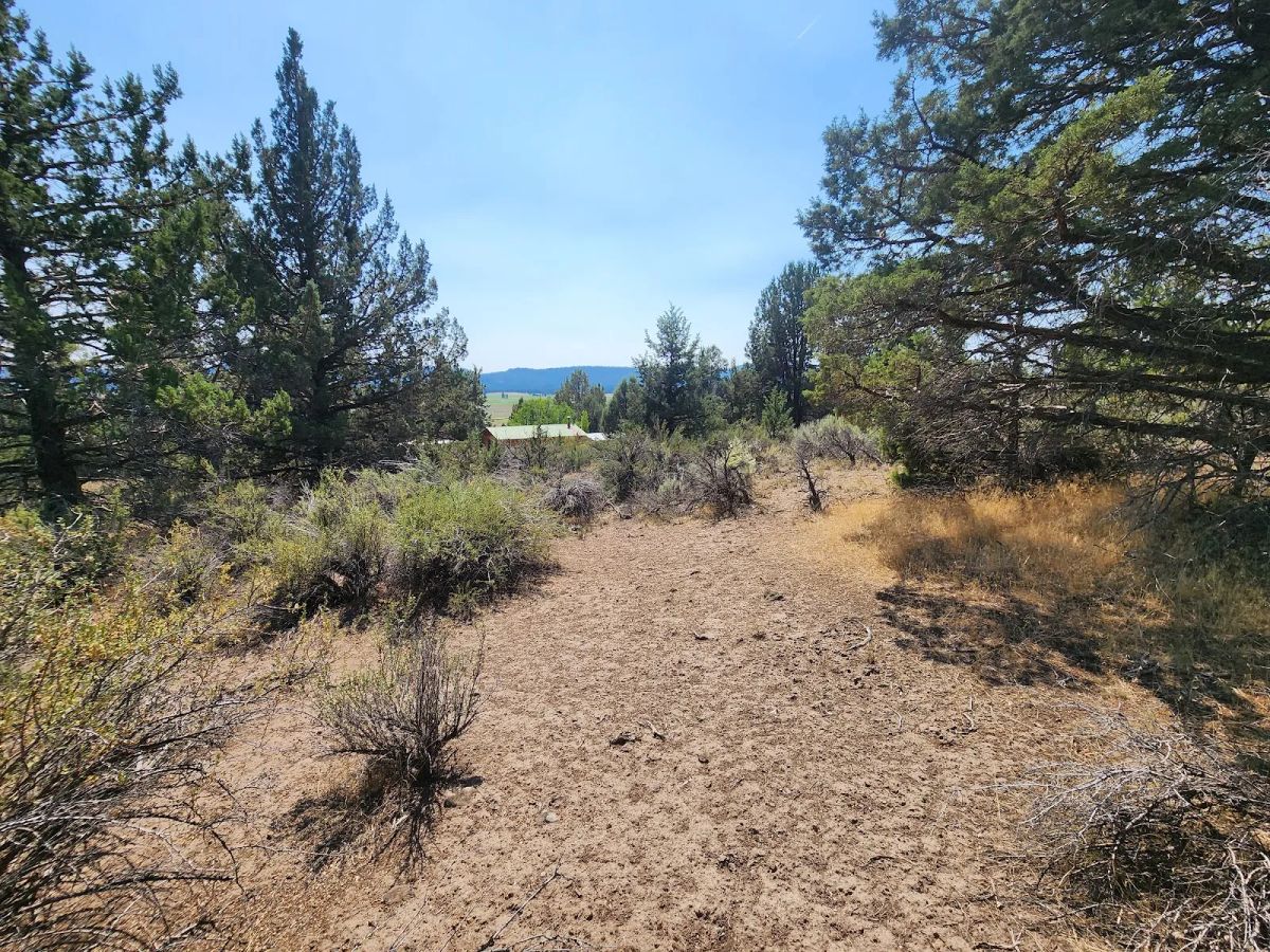 Decorative background for Treed Lot with Valley Views and Power Already Close — Kootenai Street image 10