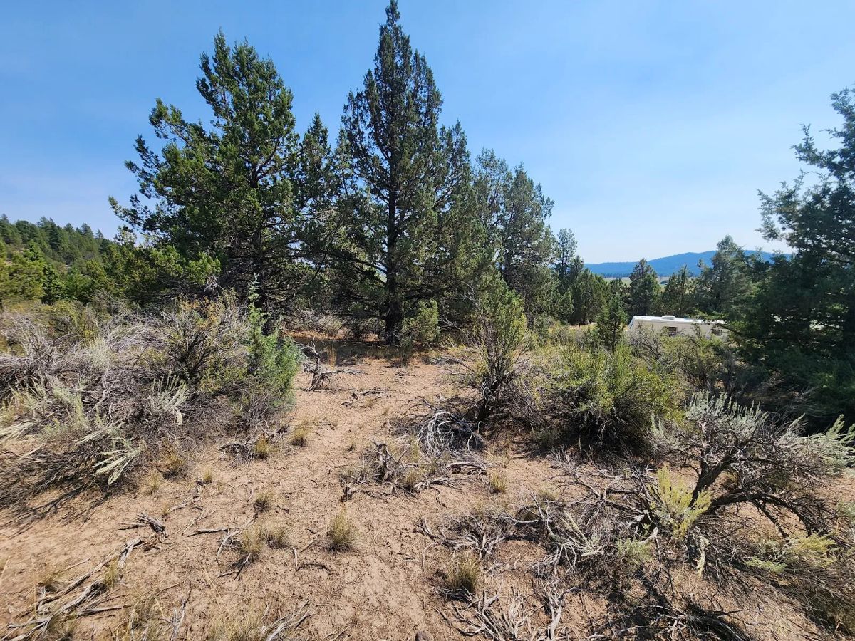 Decorative background for Treed Lot with Valley Views and Power Already Close — Kootenai Street image 13