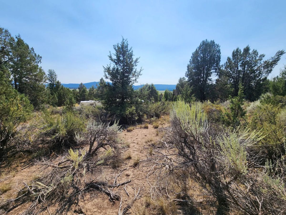 Decorative background for Treed Lot with Valley Views and Power Already Close — Kootenai Street image 14