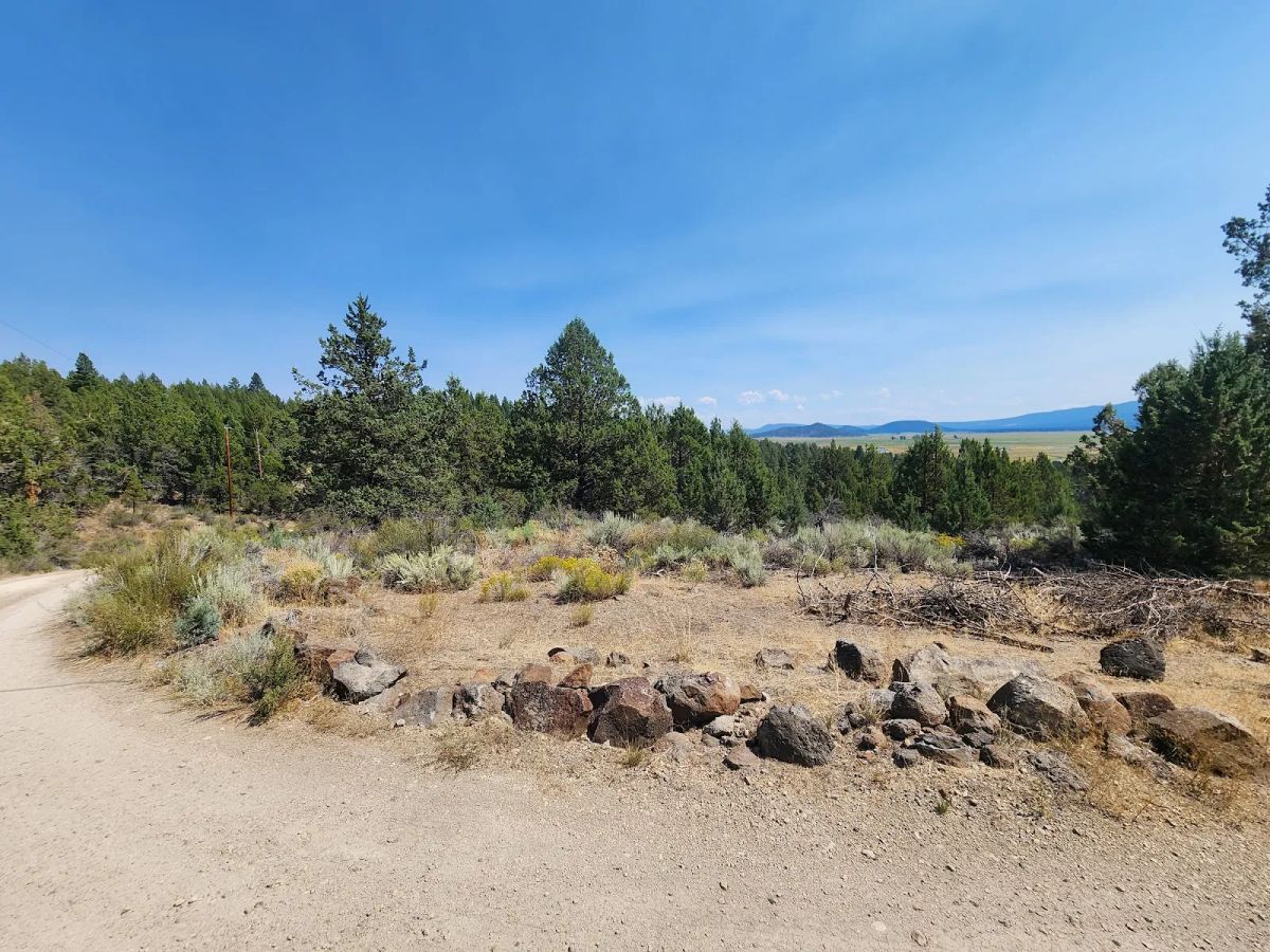 Decorative background for Treed Lot with Valley Views and Power Already Close — Kootenai Street image 15