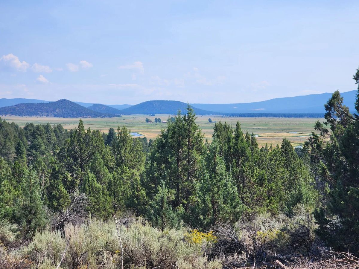 Decorative background for Treed Lot with Valley Views and Power Already Close — Kootenai Street image 16