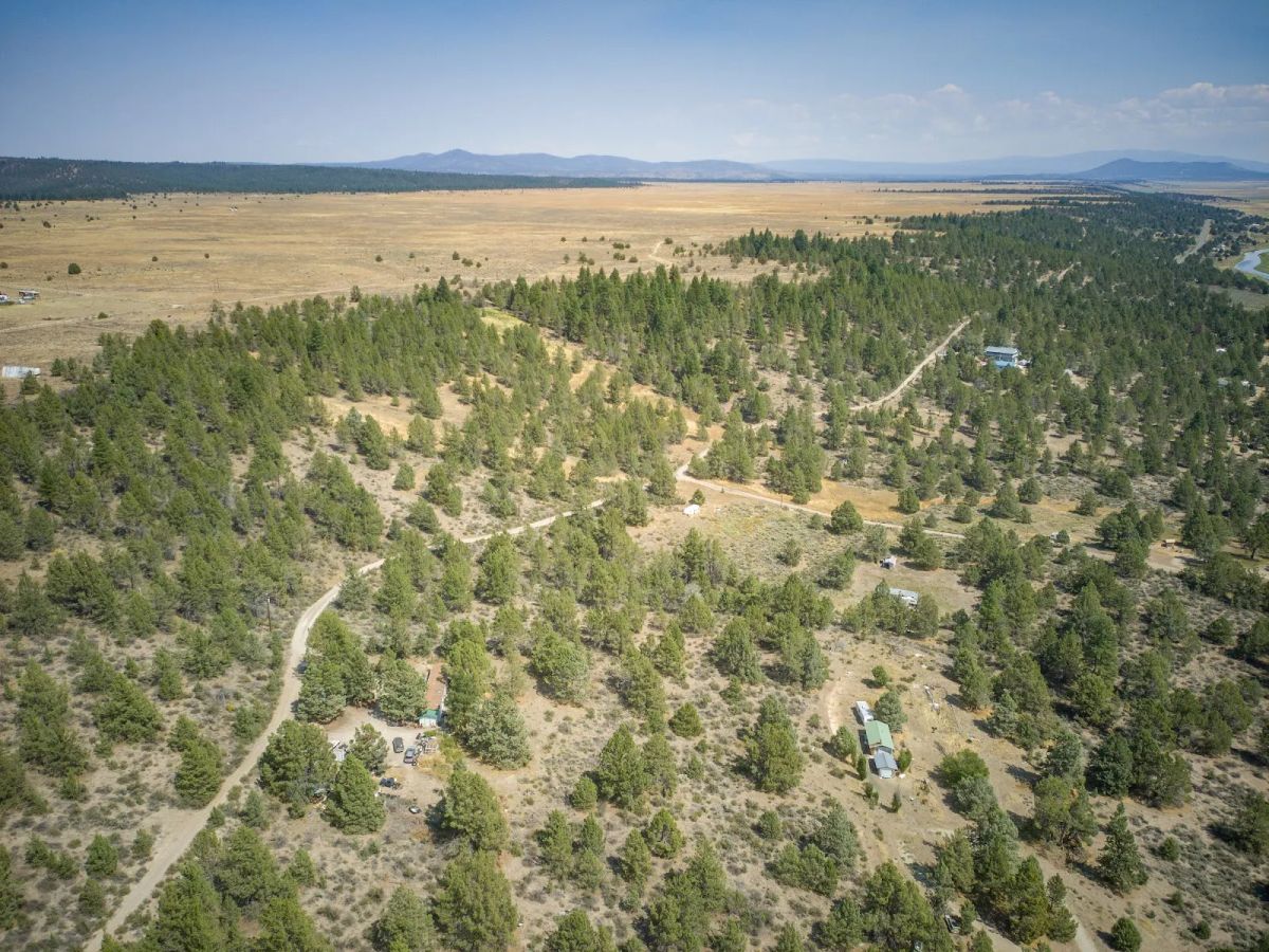 Decorative background for Treed Lot with Valley Views and Power Already Close — Kootenai Street image 18