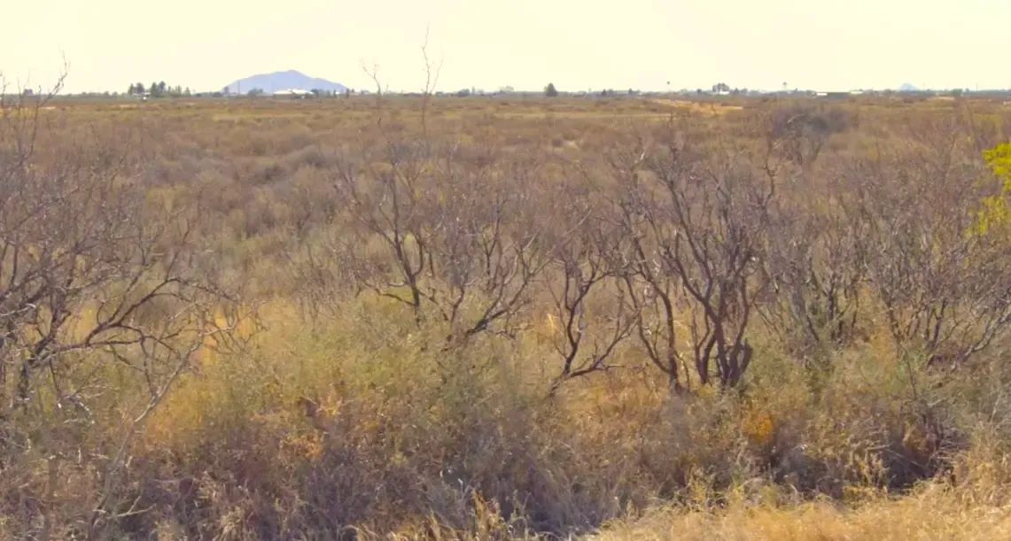 Half-Acre Residential Lot in Deming Ranchettes, NM - Main image