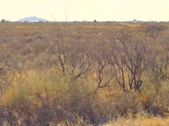 Half-Acre Residential Lot in Deming Ranchettes, NM in Luna County, NM