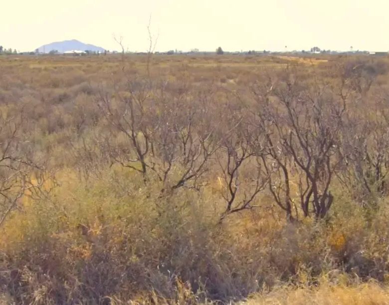 Half-Acre Residential Lot in Deming Ranchettes, NM in Luna County, NM