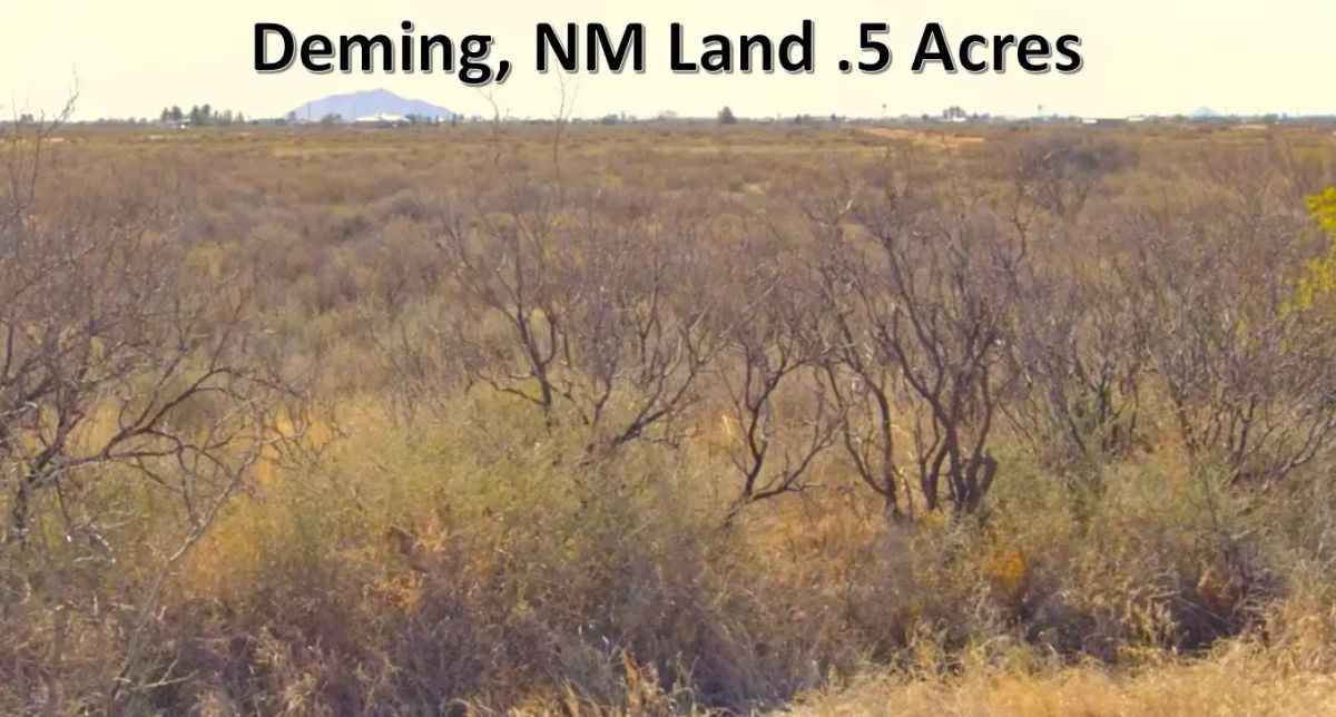 Decorative background for Half-Acre Residential Lot in Deming Ranchettes, NM image 5