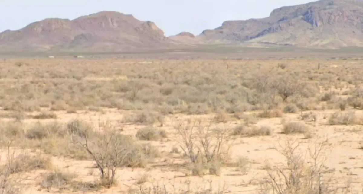 Decorative background for Half-Acre Residential Lot in Deming Ranchettes, NM image 8