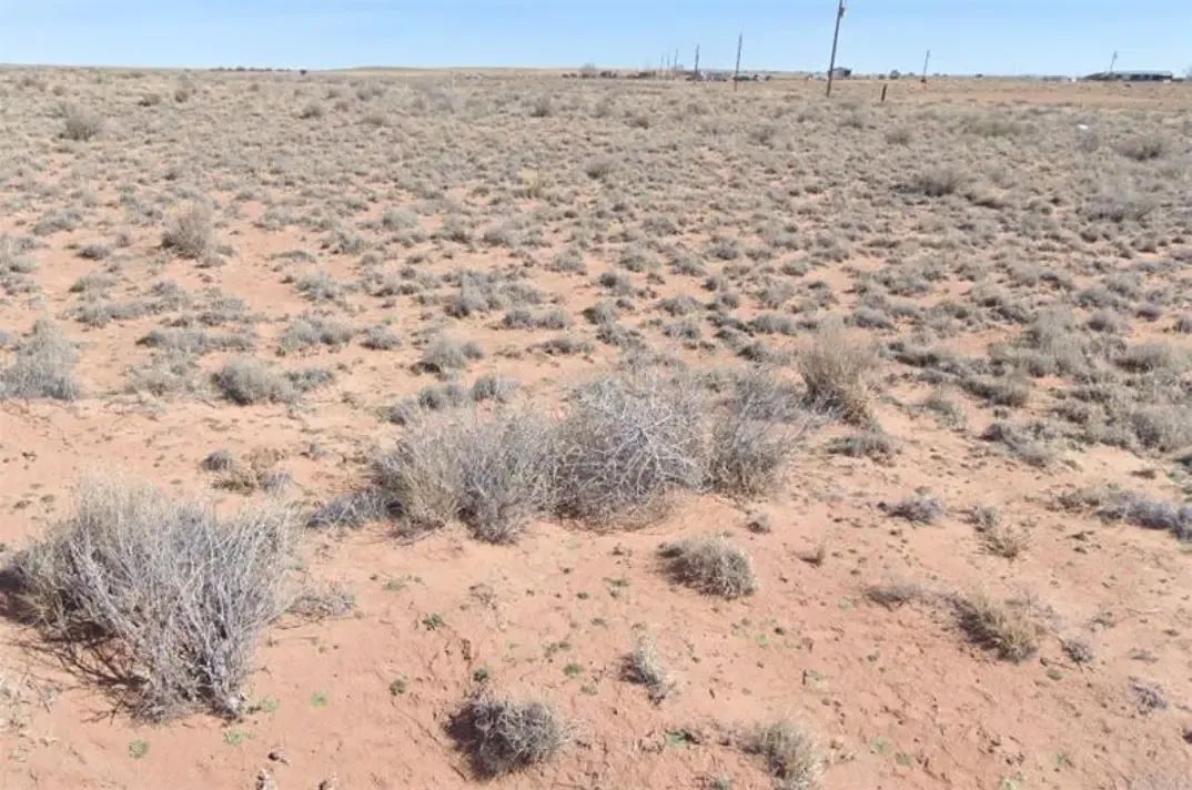 Quarter-Acre Desert Escape Near Petrified Forest Country, AZ in Navajo County, AZ