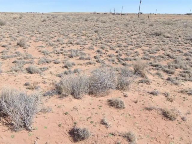 Quarter-Acre Desert Escape Near Petrified Forest Country, AZ in Navajo County, AZ