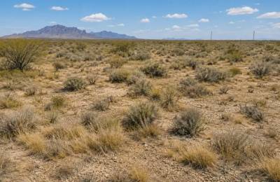 Half-Acre Lot on Alma St SE, Deming Ranchettes, NM